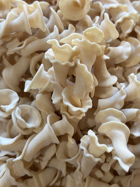 Trumpet - Coming Soon